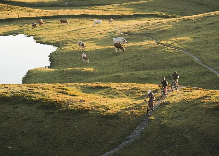 Alpenglück By We Rent Saalbach-Hinterglemm